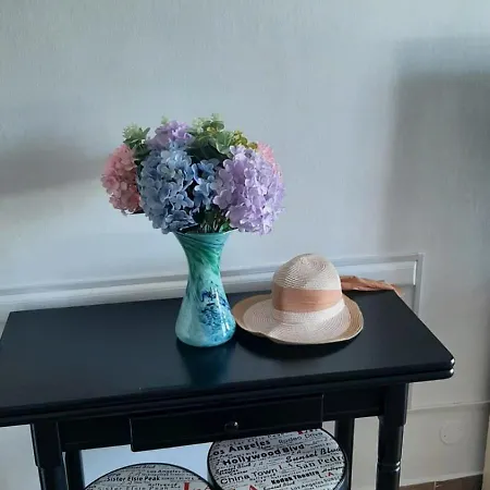 公寓 Estudio Coqueto Torres Del Sol 阿罗纳